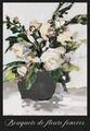 Image Not Available
